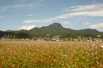 子檀嶺岳(こまゆみだけ)
