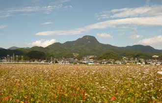 子檀嶺岳(こまゆみだけ)