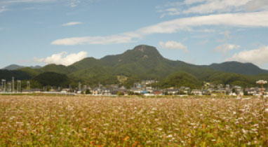 子檀嶺岳(こまゆみだけ)